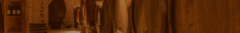 Banner de la categoría Terracota Wineland