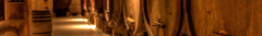 Banner de la categoría DiamAndes