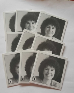 CARMEN PIZZZINI JOSEPH HAYDAN - COMPLETE PIANOS SONATA - loja online