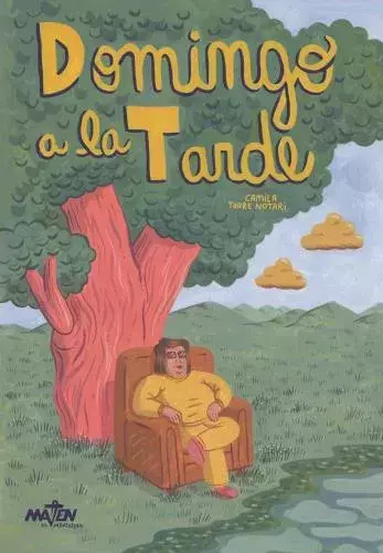 domingo a la tarde, camila torre notari