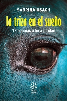 la triza en el sueño: 12 poemas a luca prodan, sabrina usach