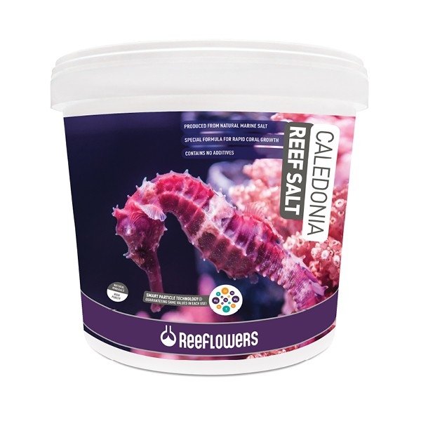 Sal Reeflowers Caledonia Reef Salt 22,5 KG Sal Reeflowers Caledonia Reef Salt 22,5 KG