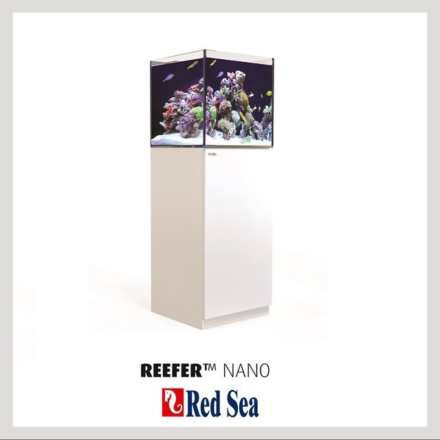 Aquario Red Sea Reef System c/ Movel - Reefer Nano White Aquario Red Sea Reef System c/ Movel - Reefer Nano White