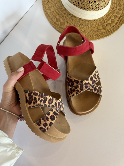 HOLLYWOOD ANIMAL ROJO