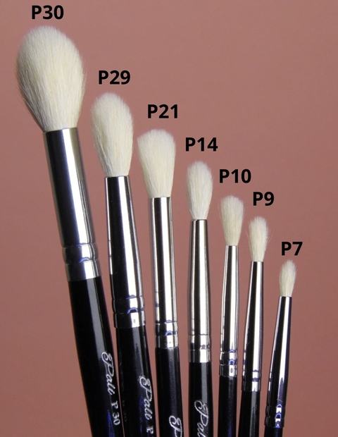 Familia de Blenders - comprar online