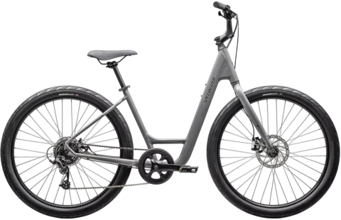 SPECIALIZED ROLL 2.0 LOW ENTRY CLGRY/SMK - comprar online