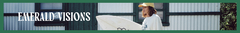 Banner de la categoría Emerald Visions