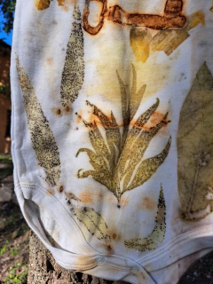 BODYS "Capullitos silvestres" en puro algodón peinado