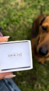 Anillo Mascota | Plata 925 - Demora de 5 a 15 días habiles