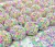 Miçanga Candy Colors - 500gr - Mix - comprar online