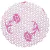 Fundo Decorado Nº9 Rosa C/100