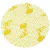 FUNDO DECORADO Nº9 AMARELO C/100 