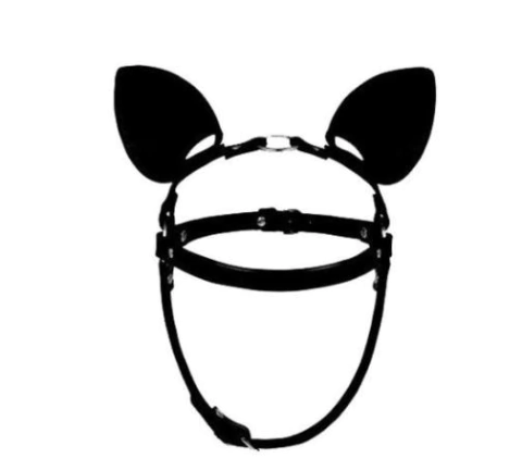 ARNES PARA ROSTRO CON OREJAS