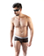 BOXER DE PUNTILLA