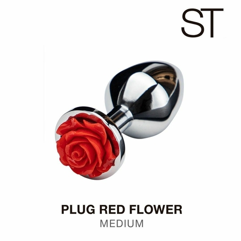 PLUG ANAL CON ROSA MEDIUM