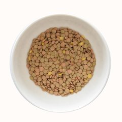 Lentejón x 100g