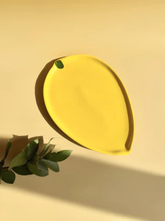 Prato Limão G - comprar online