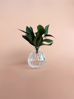 Vasinho Clear P