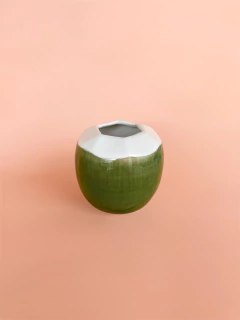 Copo de Coco | Verde - Panno Home