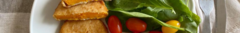 Banner de la categoría CALABAZA