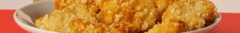 Banner de la categoría NUGGETS CRUNCHY