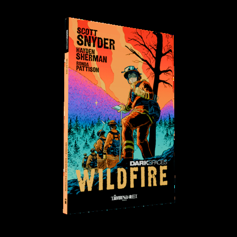 Livro Dark Spaces Wildfire Por Scott Snyder Taverna do Rei