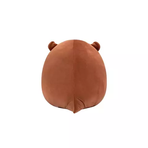 Pelúcia Squishmallows Squishlove Joanne 19cm 3831 Sunny