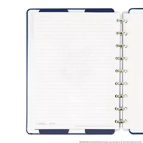 Caderno Inteligente Harry Potter 25,5x19 Cm 80 Folhas Cimd3343