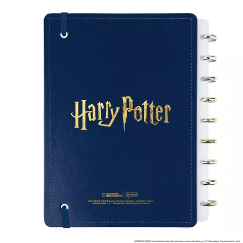 Caderno Inteligente Harry Potter 29x22 Cm 80 Folhas Cigd4343