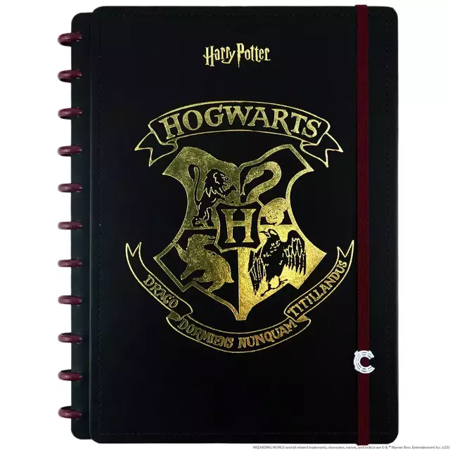 Caderno Inteligente Harry Potter 25,5x19 Cm 80 Folhas 75739-24