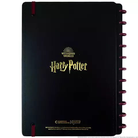 Caderno Inteligente Harry Potter A5 22x16 Cm 80 Folhas 75740-24