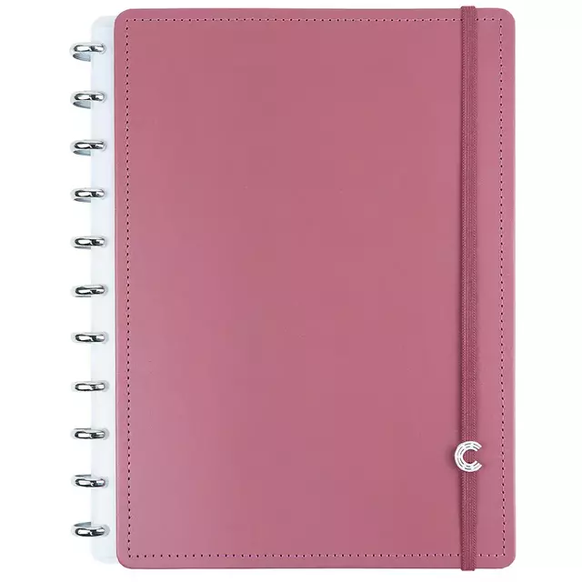 Caderno Inteligente Inteligine Guava 14x10 Cm 50 Folhas Ciin1339