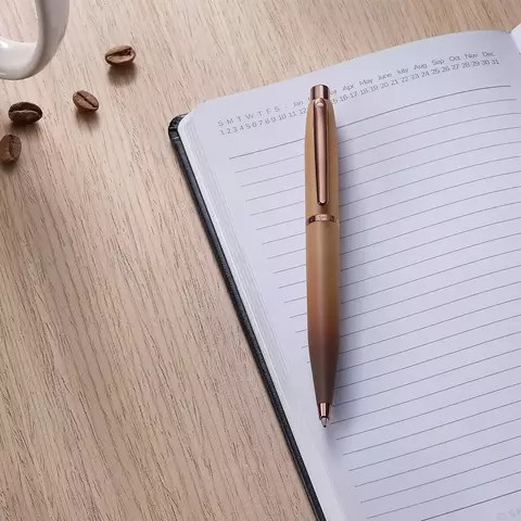 Caneta Esferográfica Sheaffer VFM Café Matte E2942851