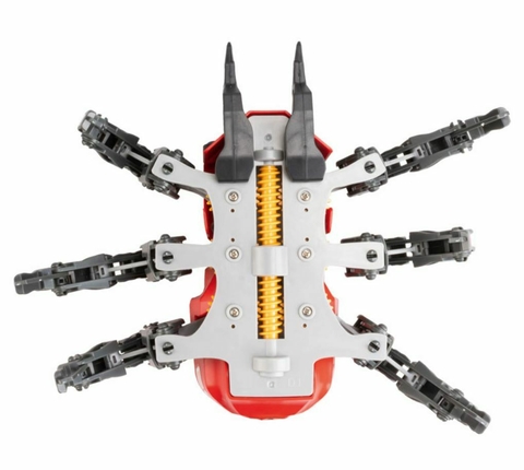 Xtrem Bots Spider Bot Construa e Brinque Fun F0123-7