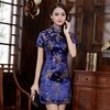 Vestido Estampa Dragão Azul