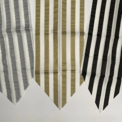 Camino de Rayas Negras en internet