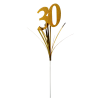 Pinche Numero 30 en internet
