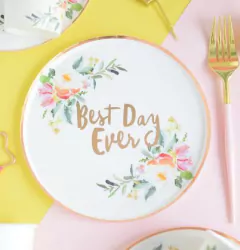 Plato BEST DAY EVER x 10unid