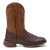 Bota Texana Masculina Apolo Escamada