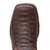 Image of Men's Scaled Apolo Western Boot