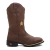 Bota Texana Feminina Premium Stellar em tom marrom com detalhes em dourado, ideal para mulheres que buscam estilo e conforto.