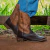 Bota Texana Masculina Maschuppi