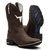 Bota Texana Boi Terra - comprar online