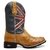 Bota Texana Masculina Inglaterra Avestruz Punta Redonda