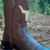 Exclusive Limited Edition Men's Cowboy Boots - Economic - buy online