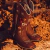 Rozzeli Women's Western Boots
