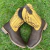 Holland Men's Western Boots Wooden Sole - buy online