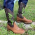Bota Texana Masculina Valtra Solado De Madeira na internet