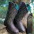 Bota Texana Feminina Cacto Café