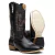Bota Texana Carrapeta Masculina Toledo - comprar online